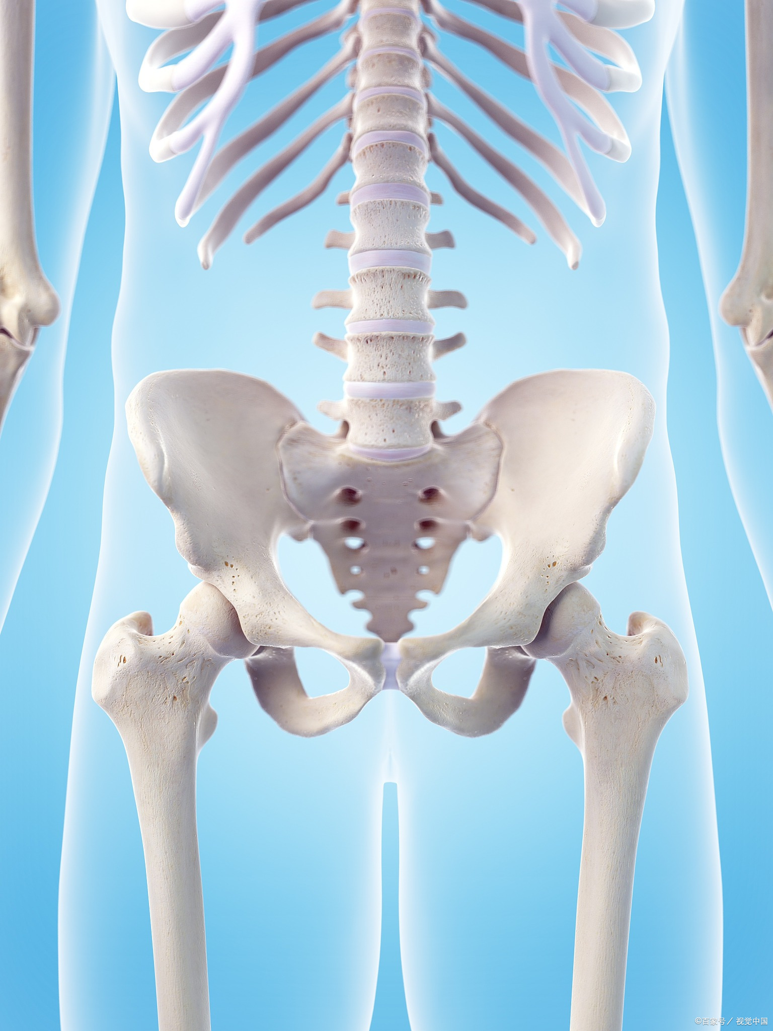 髂骨在哪个位置示意图骶骨在哪个位置示意图骶髂关节位置图片骶骨在