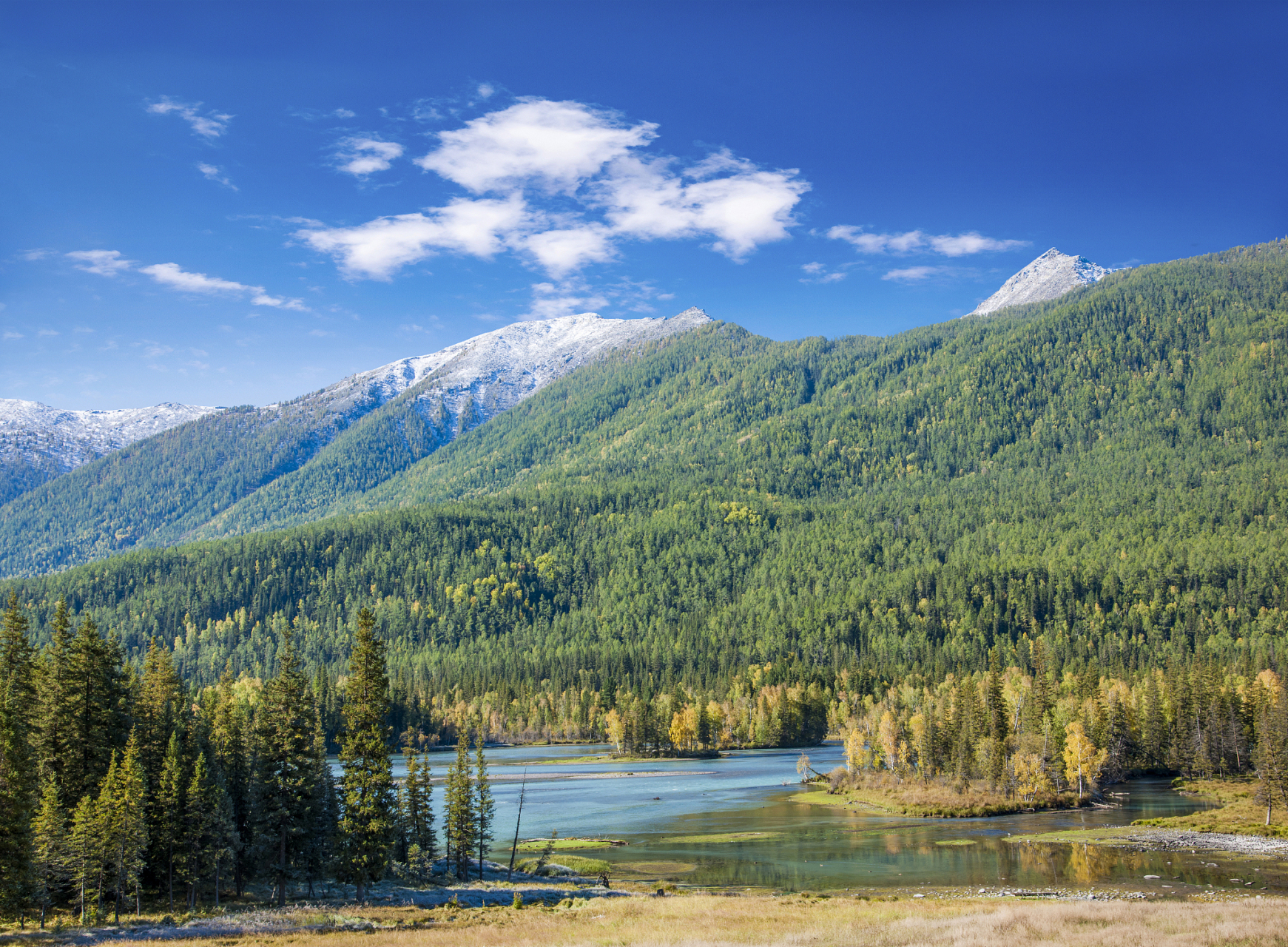 新疆那拉提喀纳斯是中国西北地区著名的旅游胜地,不仅拥有壮丽的风 