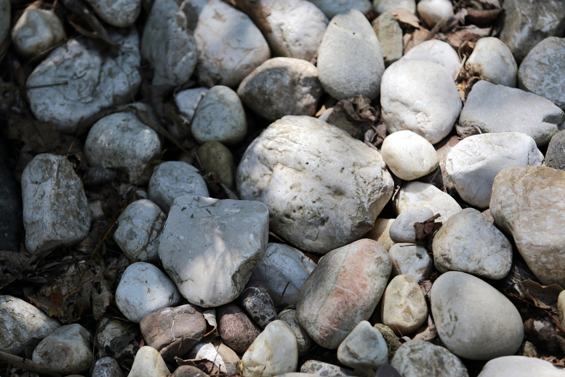 水滴石头为什么石头会长呢  我们都知道"水滴石穿"这样一句俗语.