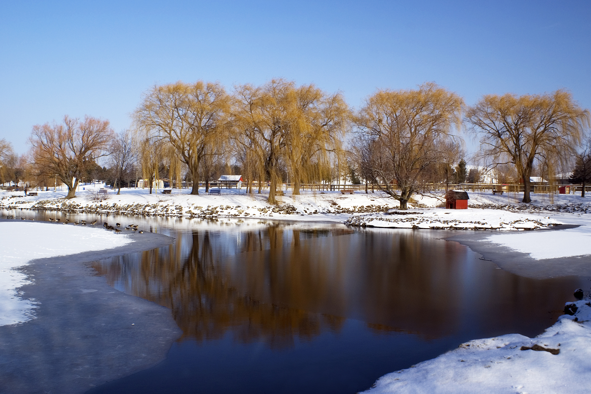 松原的四季变换各具特色吗,您是否体验过不同季节的风景?