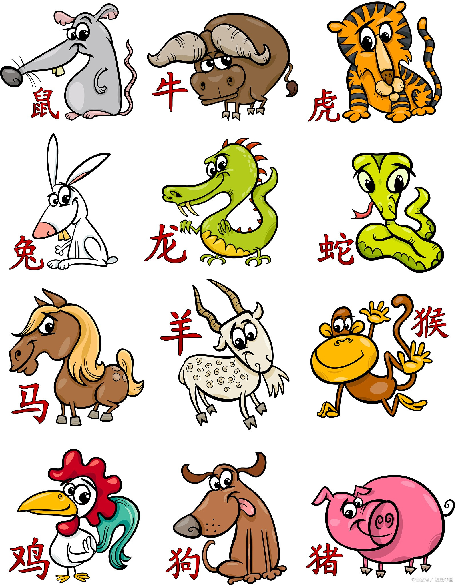 张指什么生肖动物