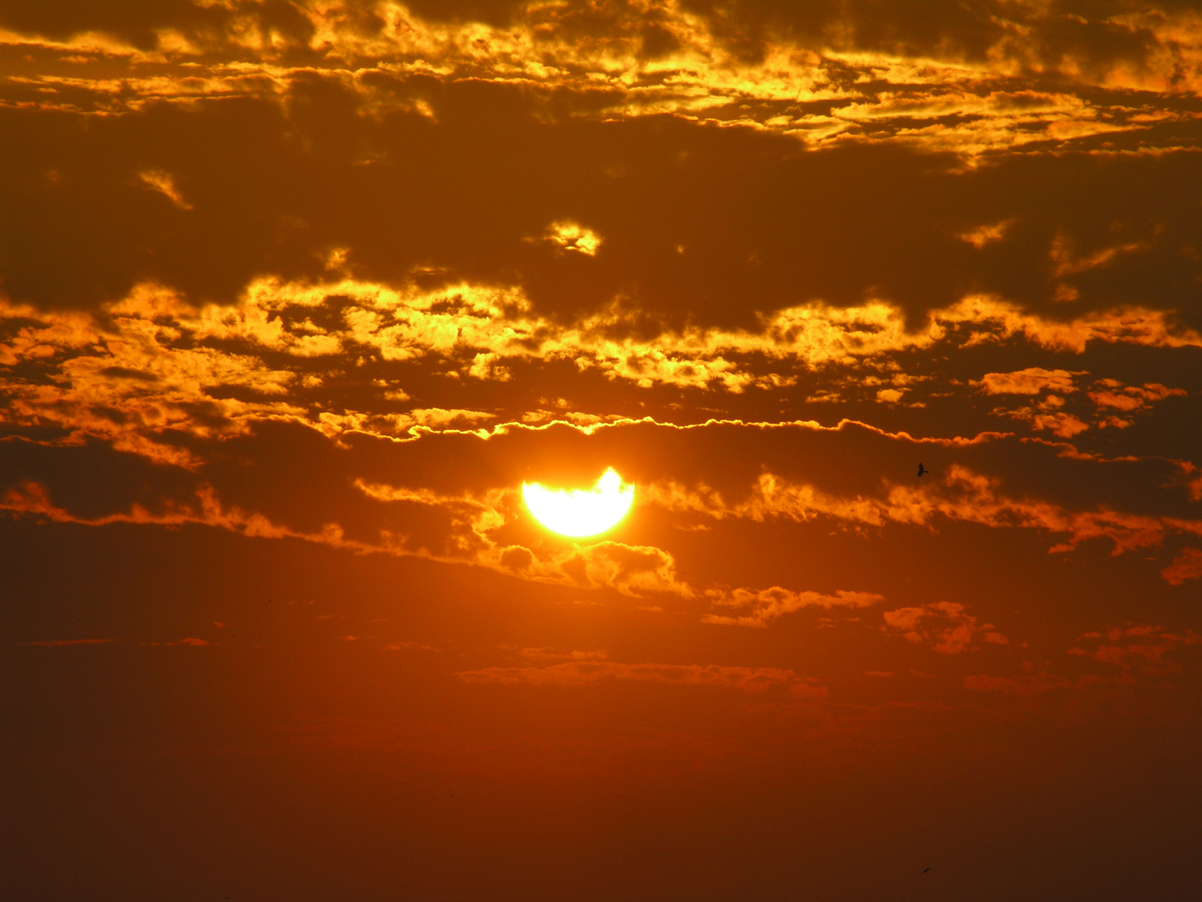 这是黄昏的太阳,我们却把它当成黎明的曙光#唯美句子# :时间,是我们的