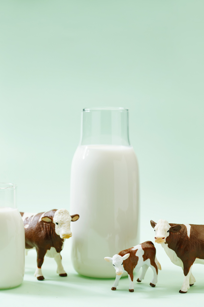 牛奶# 中国人是否适合喝牛奶一直是一个备受争议的话题