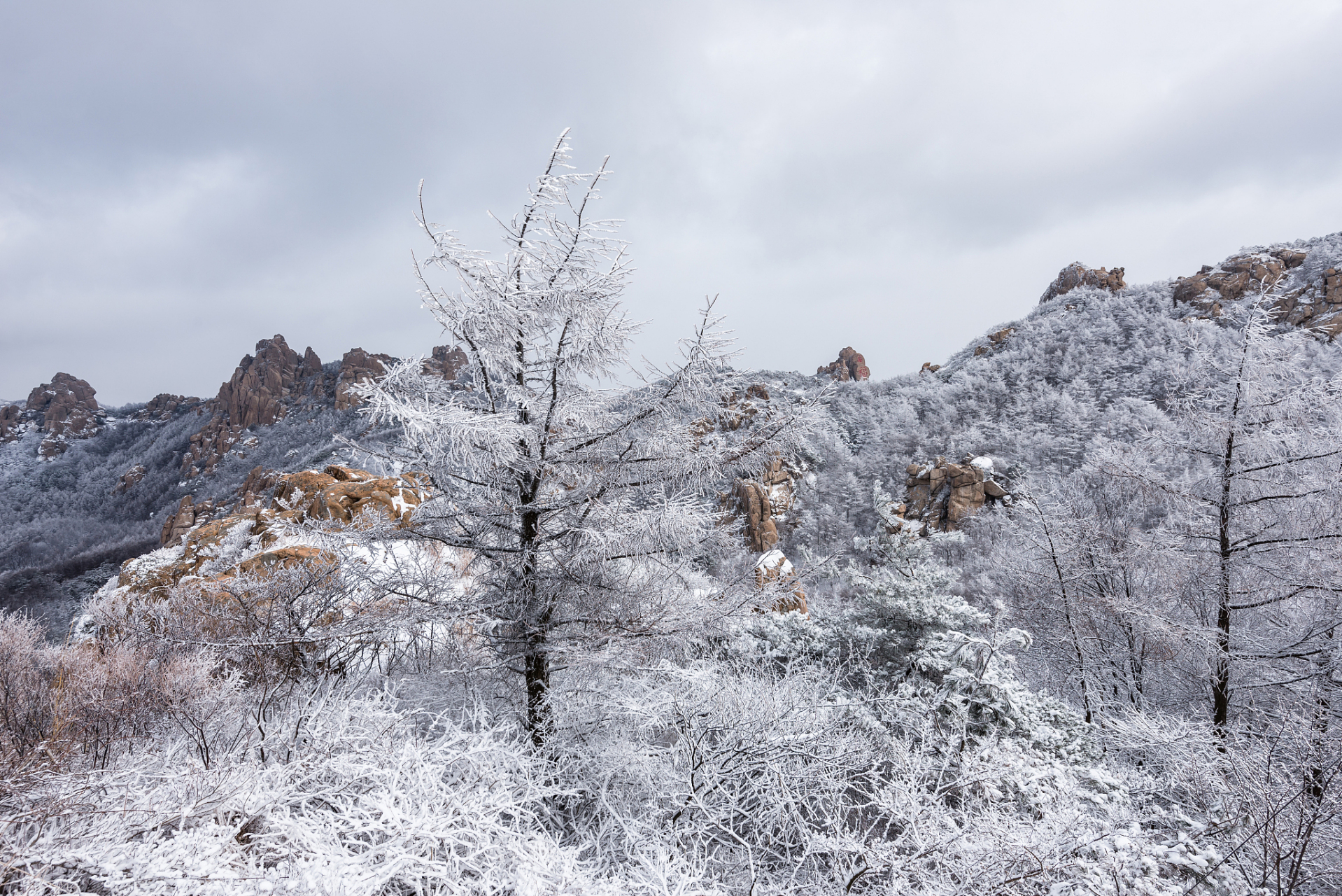 连山金子山看雪图片