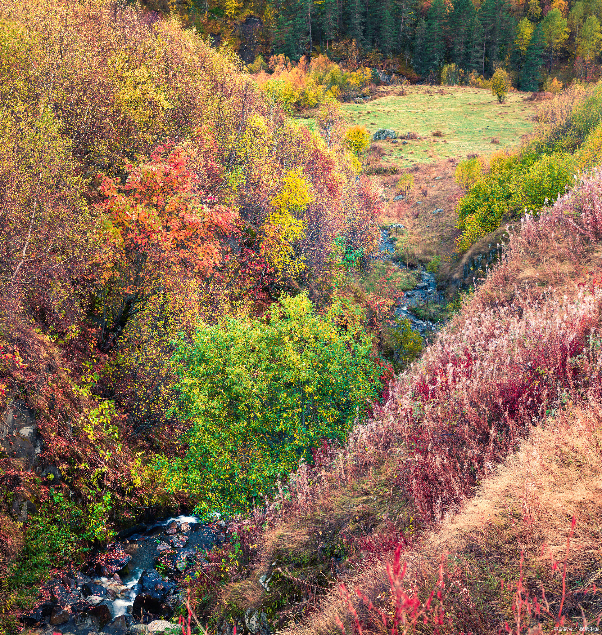镜头里的春天#春日踏足红叶谷,仿佛置身于一幅生动的油画中.
