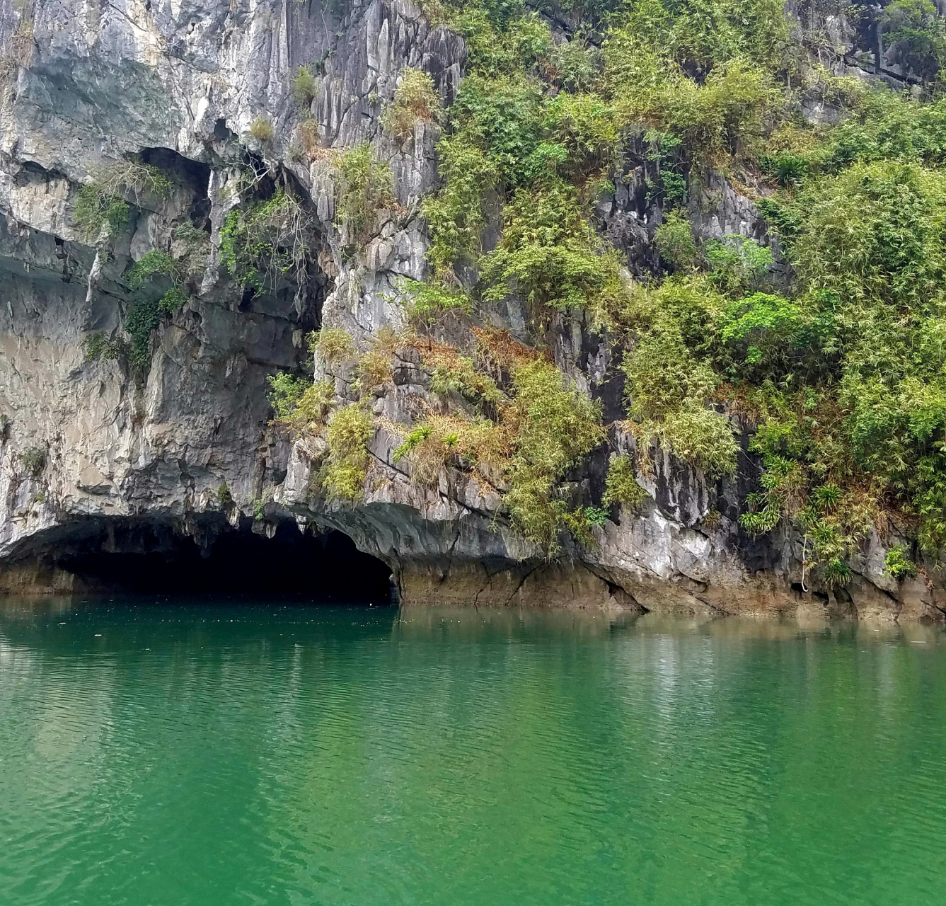 贵州罗甸大小井风景名胜区被誉为人间绿宝石.