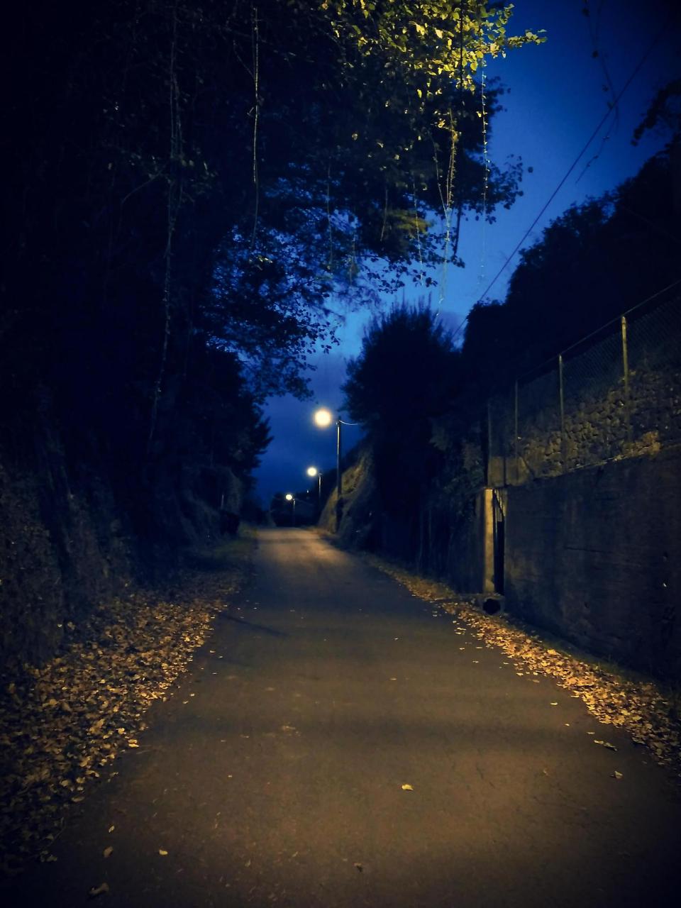 《迷失的情感》 夜深人静,我心难平. 情思缠绕,难以忘怀.