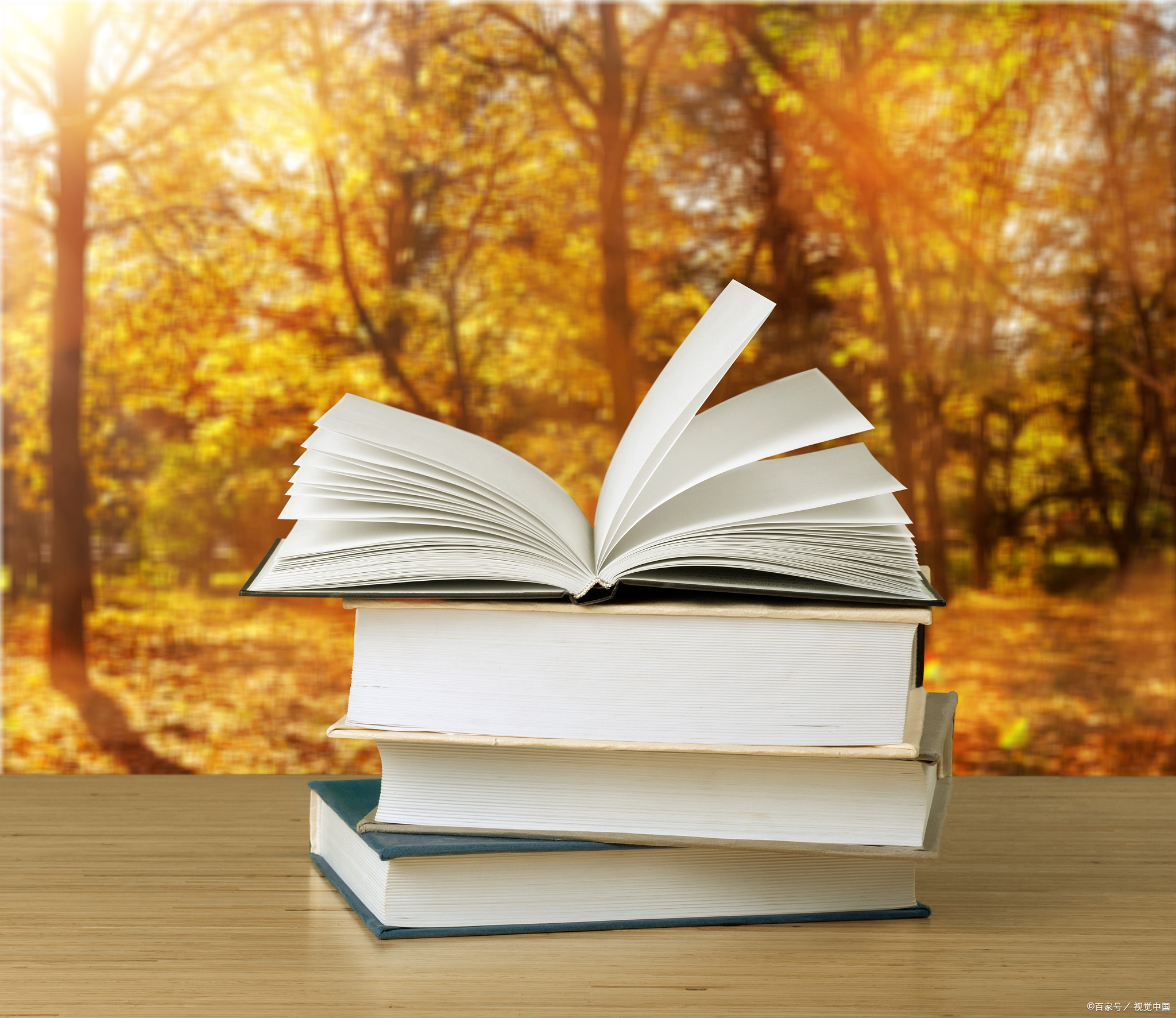 你的一句鼓励,是我最大的礼物  1.