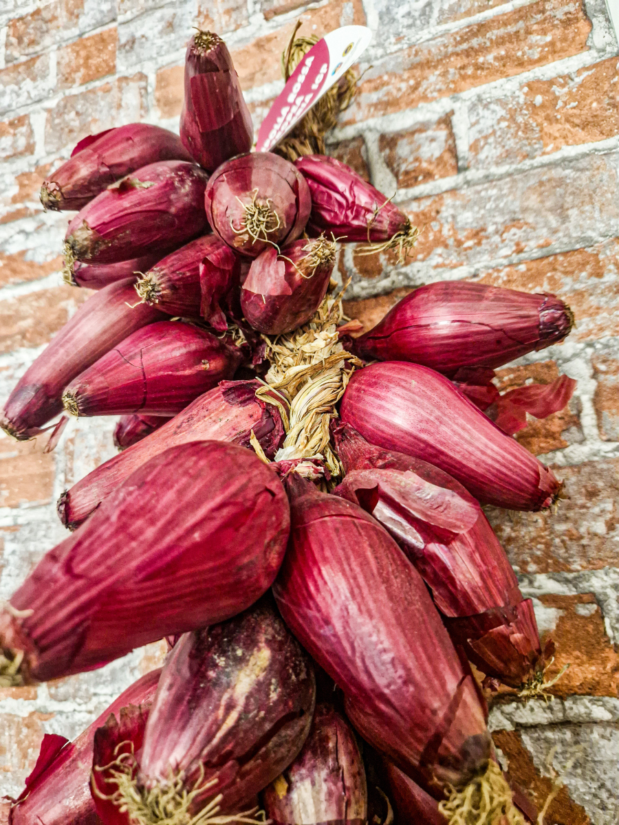 下雨天穿雨衣去种洋葱,晚餐做了红薯天妇罗,日本老公孩子都爱吃