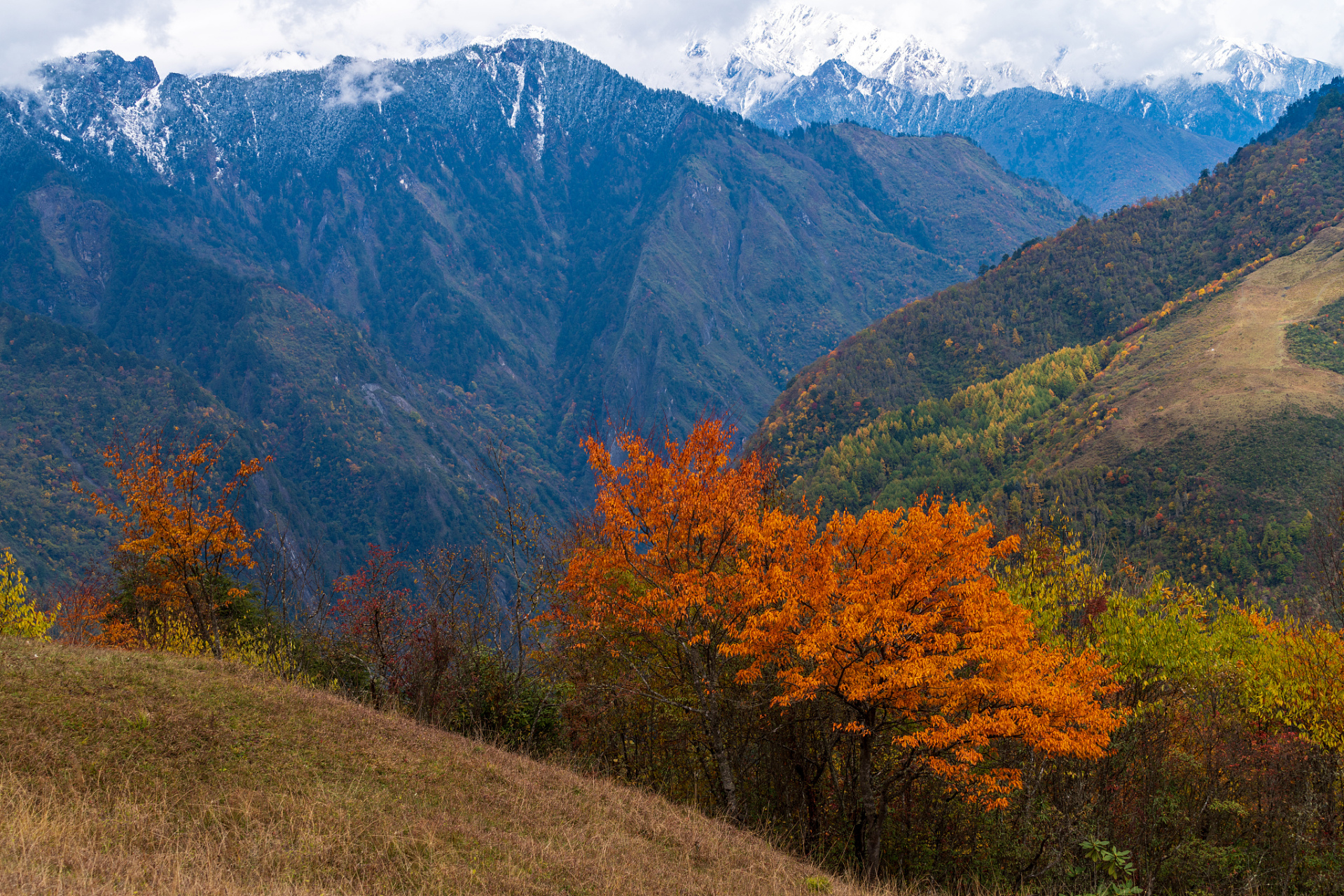 旅游#  米亚罗,一个藏羌风情浓郁的小镇,位于四川省阿坝州理县西北部