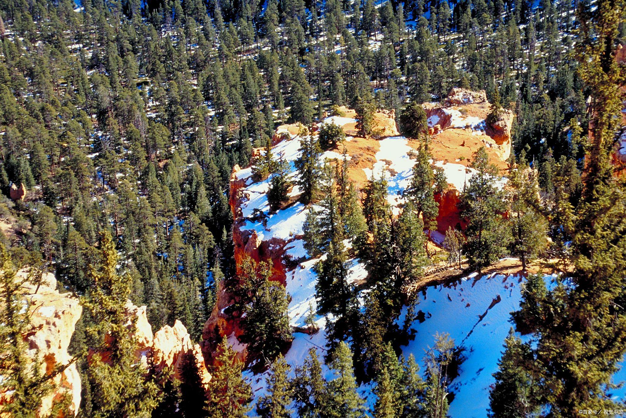 哈亚木新疆话什么意思