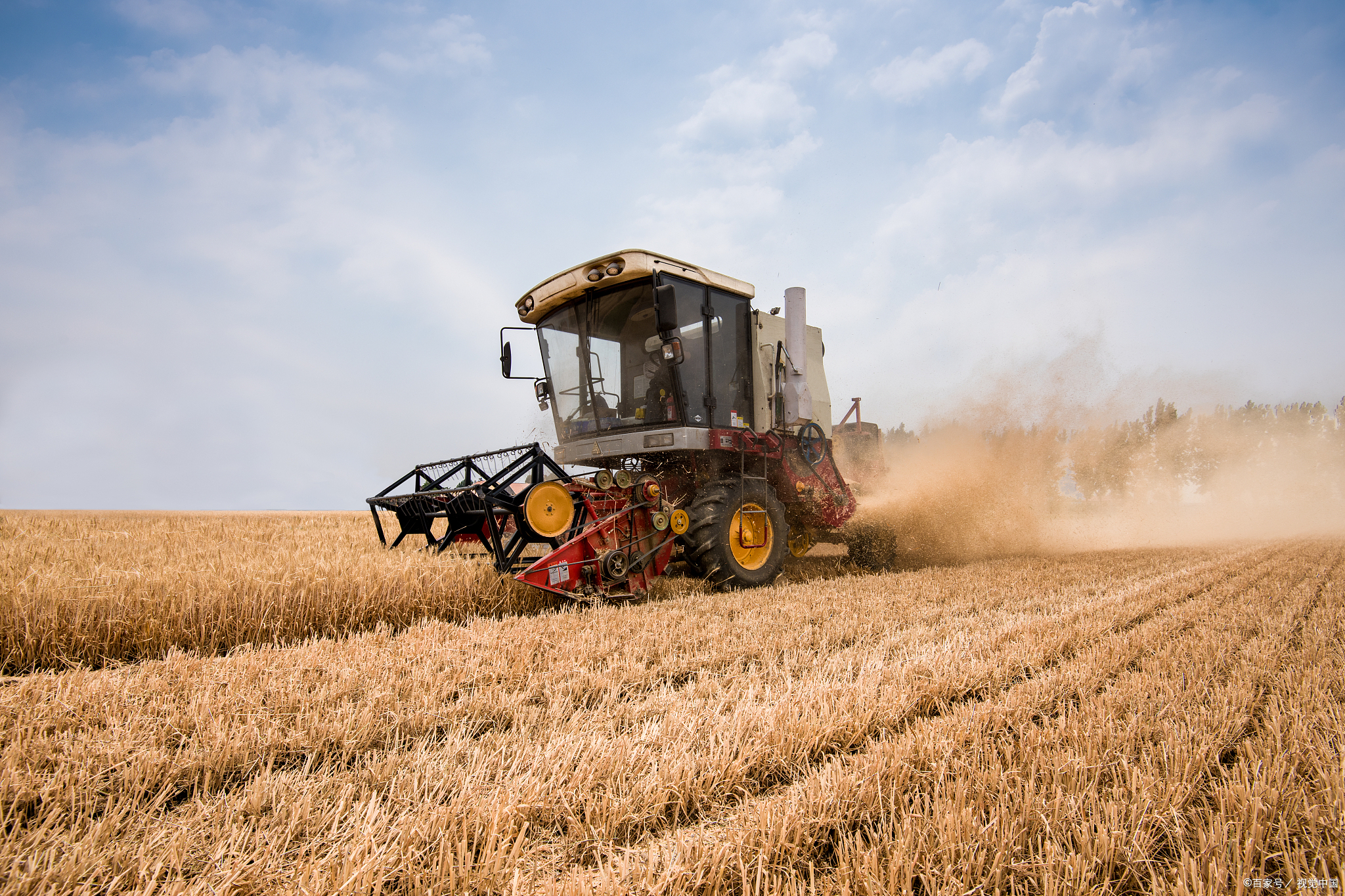 随着初夏的到来,河南省的田野上迎来了小麦丰收的季节