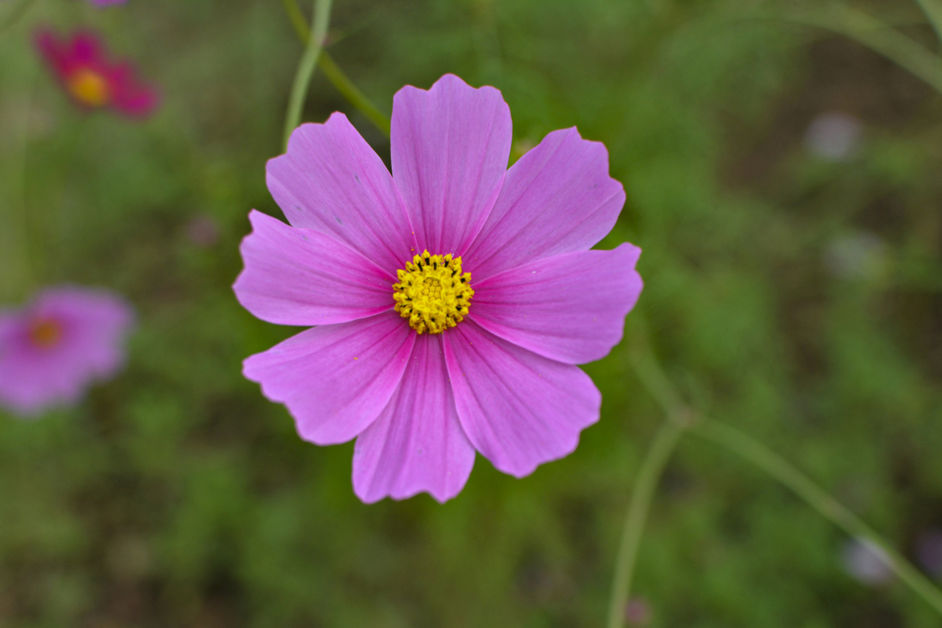 我们需要和其他人聊一聊." 是啊!
