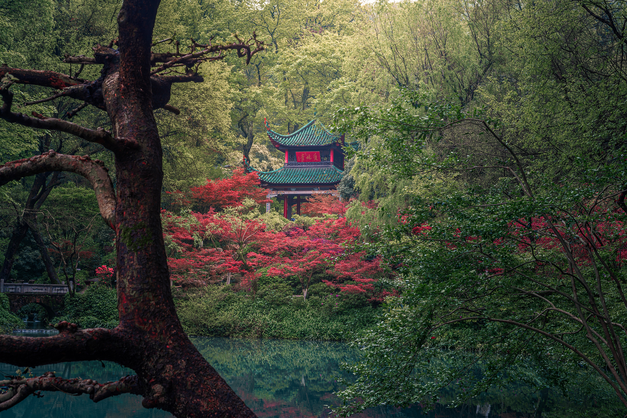 岳麓山风景图片