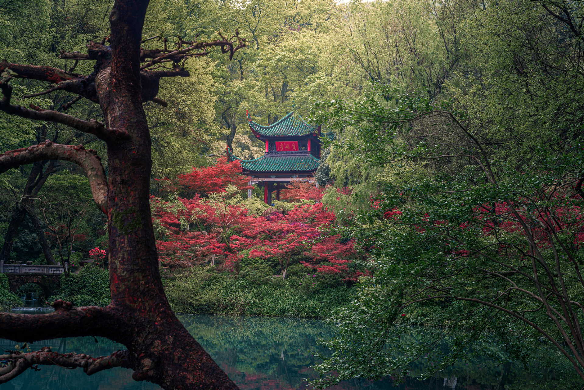 岳麓山图片