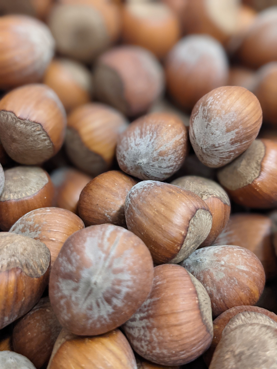 经常吃坚果榛子有什么好处?