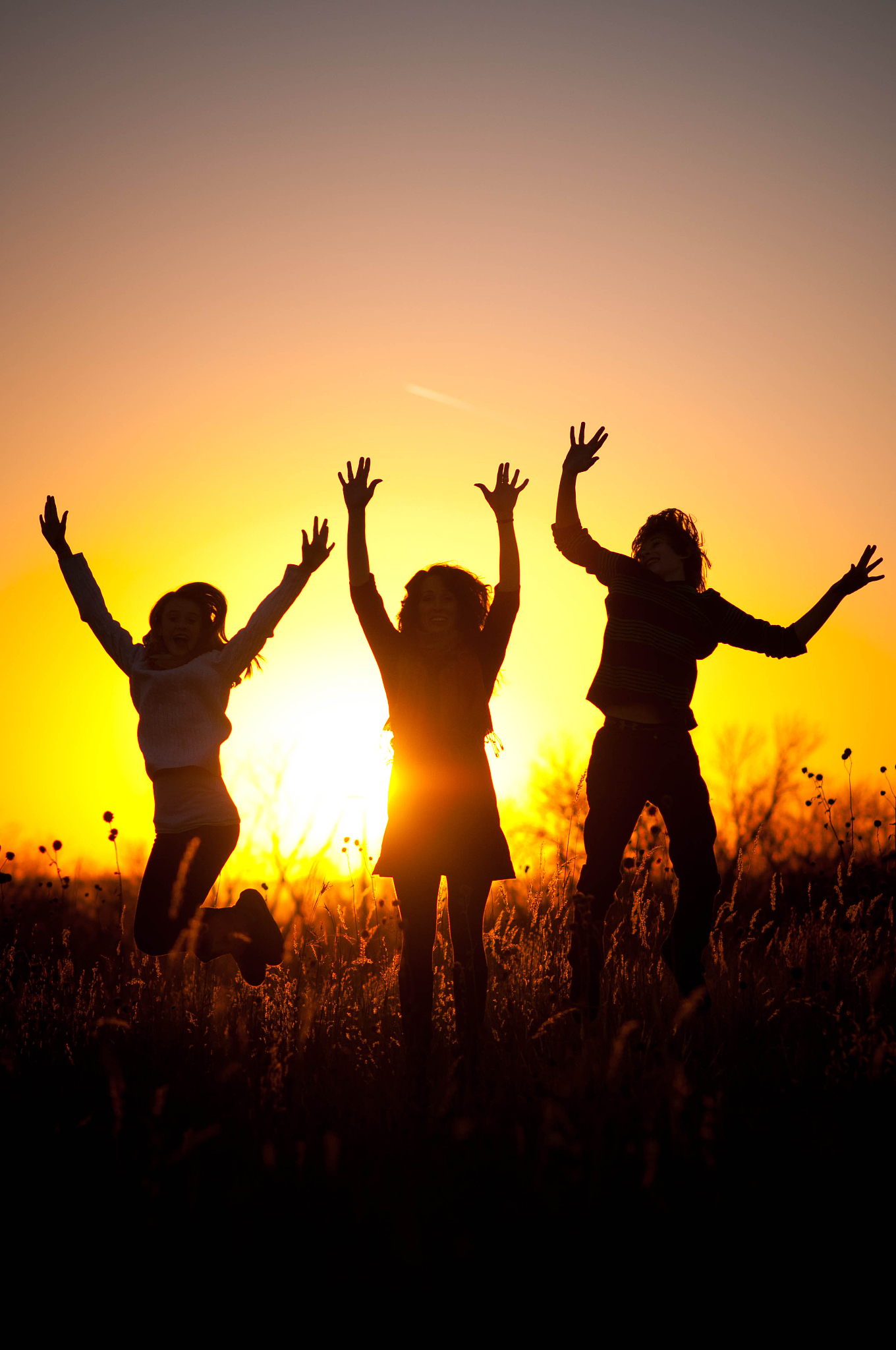 愿我们的友谊如同这和谐画卷,牵手同行,拥抱最真挚的情谊.