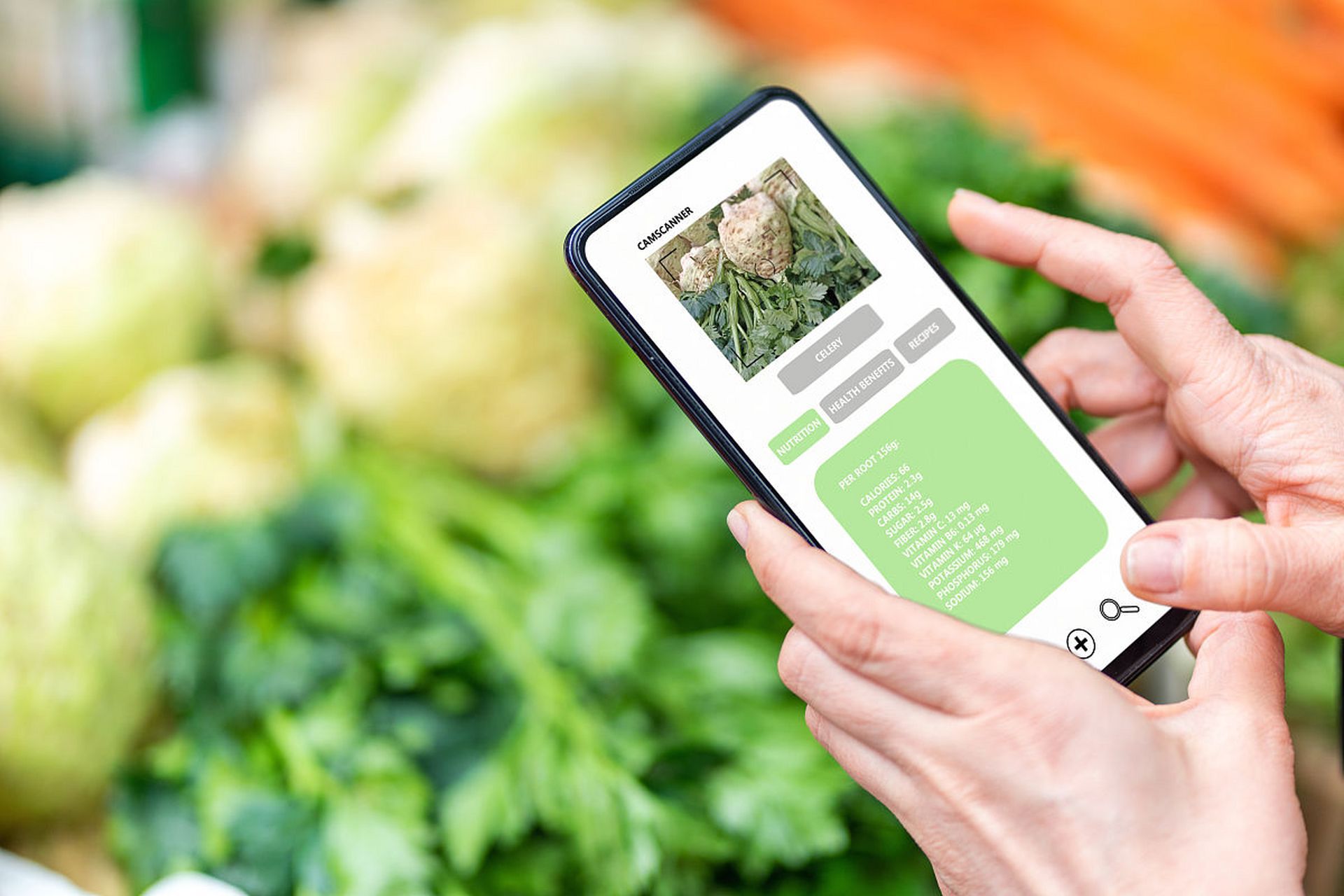 生鲜软件开发_生鲜系统开发_为什么要开发生鲜小程序