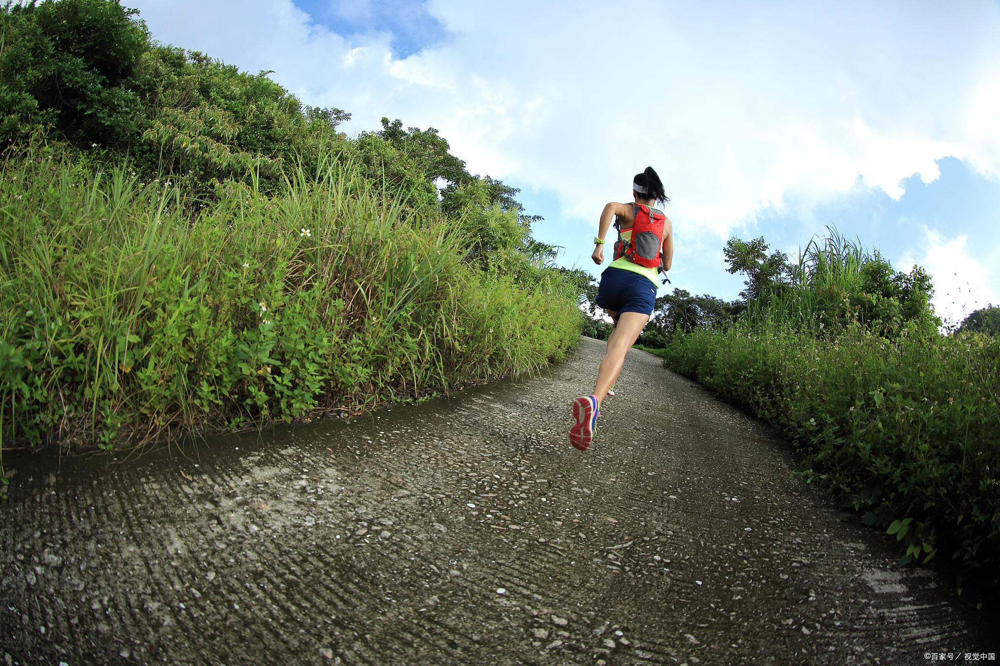 我选择去淘金山跑步, 享受大自然的魅力