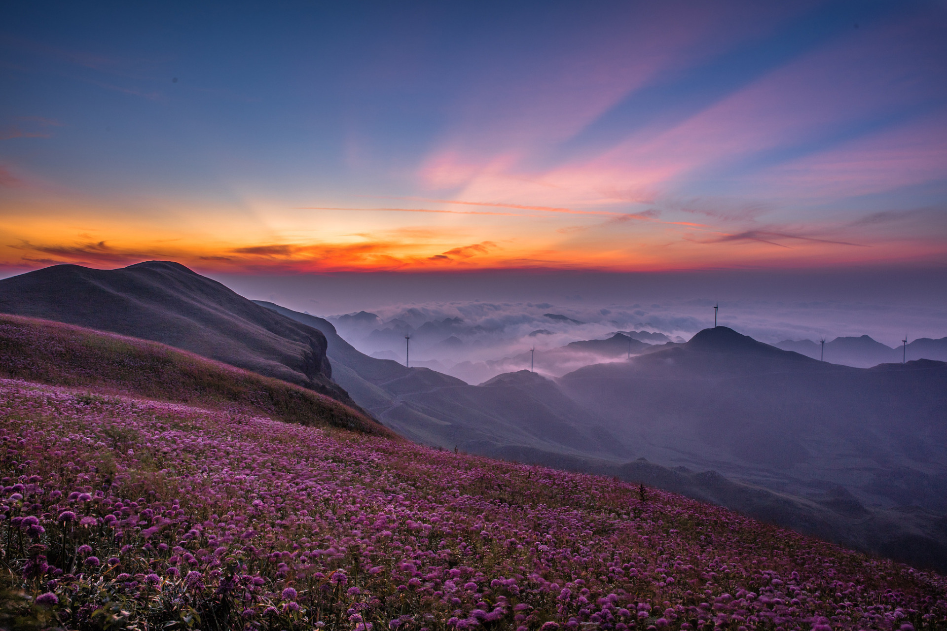 位于贵州省毕节市赫章县兴发乡中营村的韭菜坪景区,由大小两个山峰