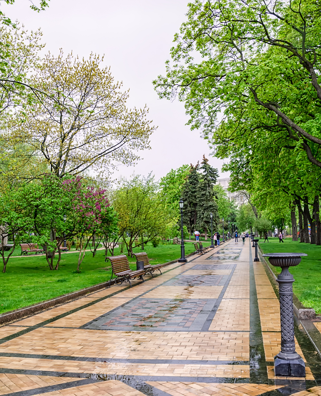 春风拂柳:哈尔滨顾乡公园散步随感    春日的午后,阳光透过嫩绿的柳叶