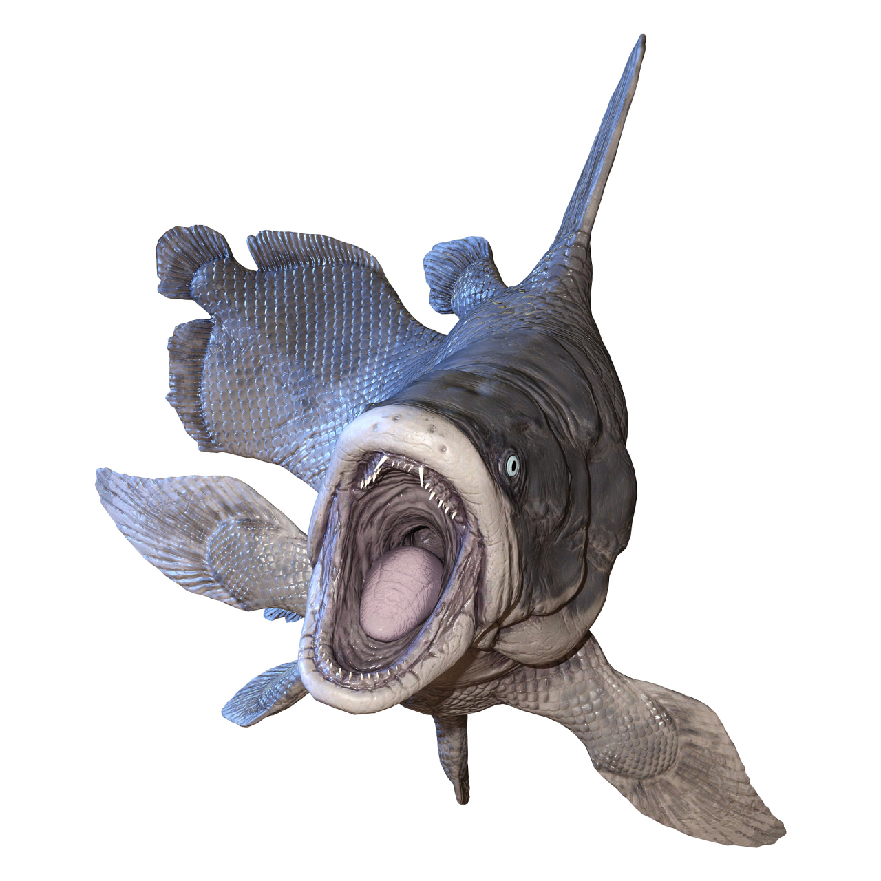 盔甲鱼类的长相真的很富有想象力,它们虽然甲胄在身,但看起来总是有点