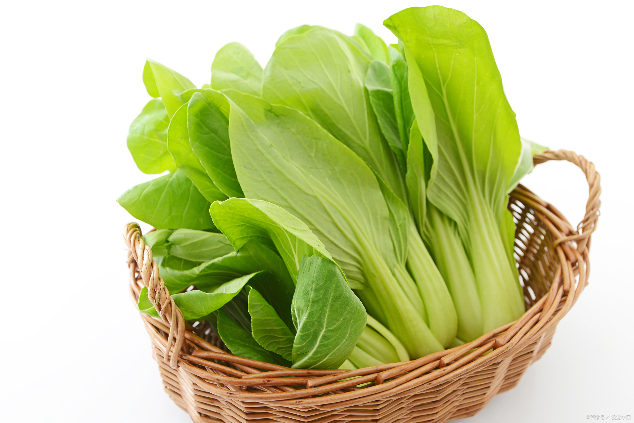 青菜,有哪些营养价值?