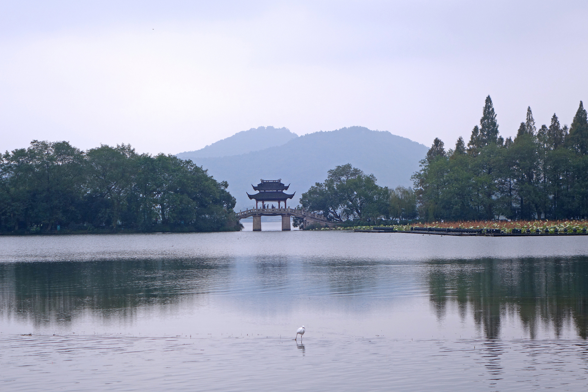 西湖:西湖位于杭州市,被誉为"天堂".