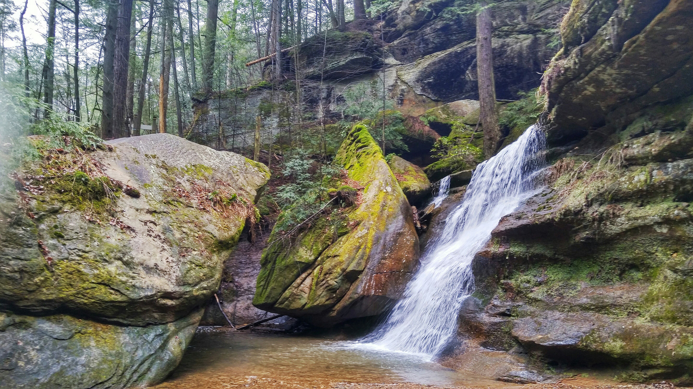 江西安远的三百山,是香港居民的饮用水源头,被誉为"东江之源".