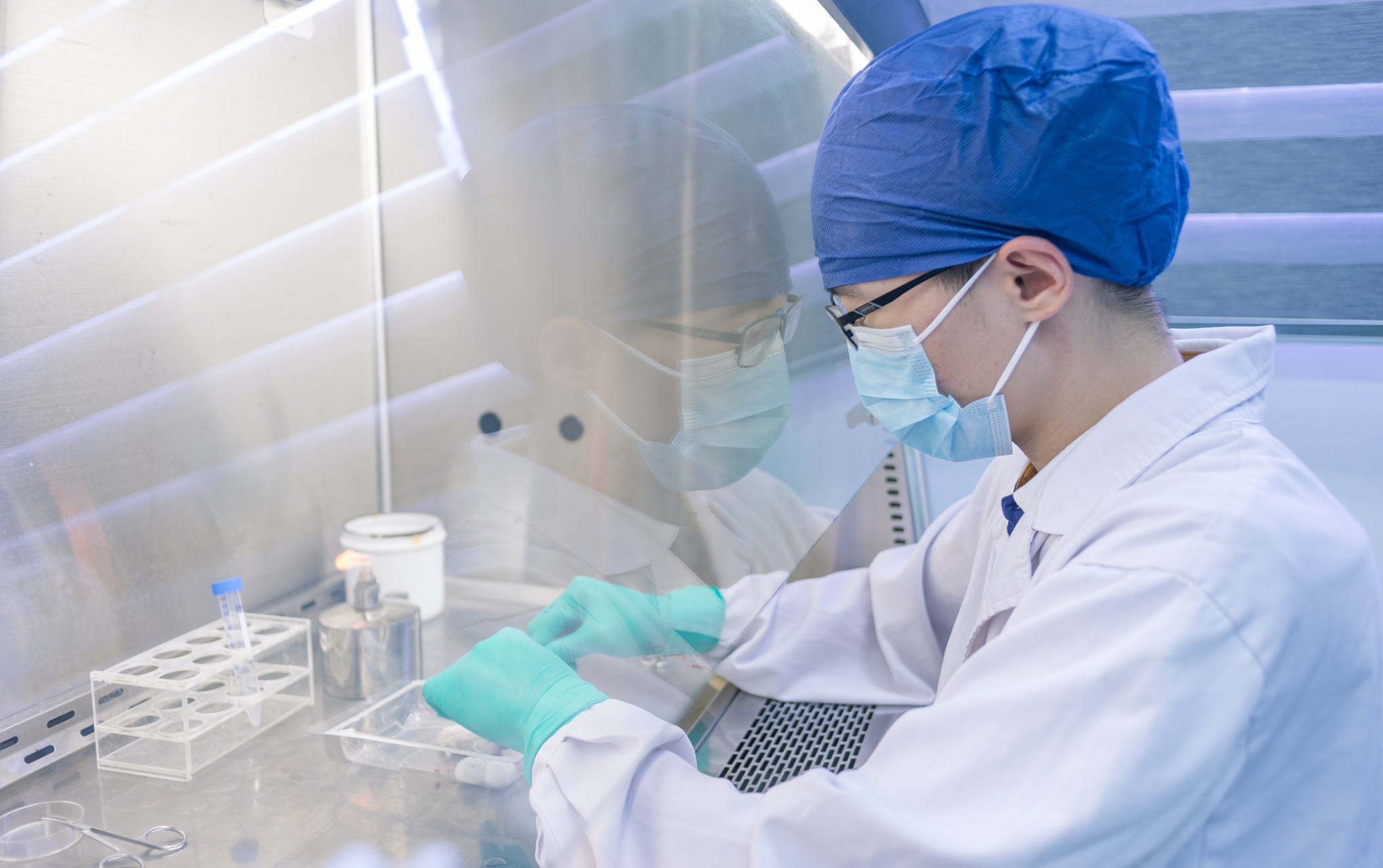 [原文:石家庄北方医学中等专业学