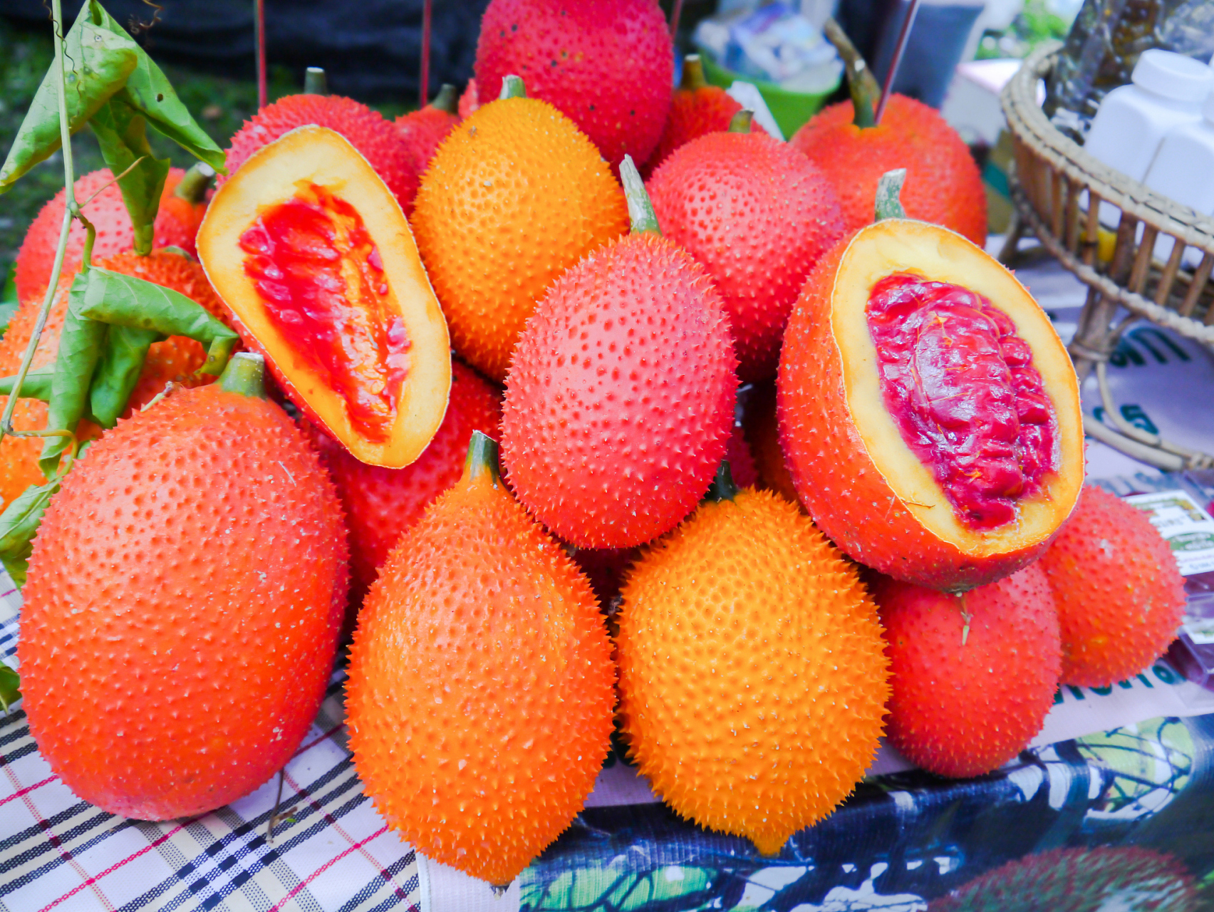 春游,时令水果如甜蜜的音符,荔枝,芒果的香气弥漫在街头巷尾,让人忍不