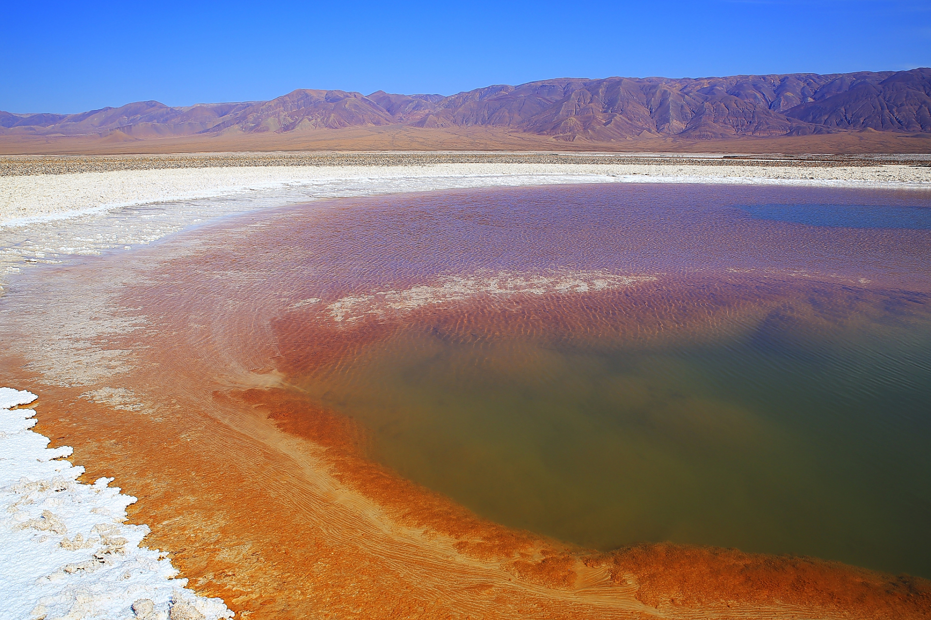 秋日生活创作季# 近日,新疆哈密市伊吾县盐池镇境内的托勒库勒湖饺腚