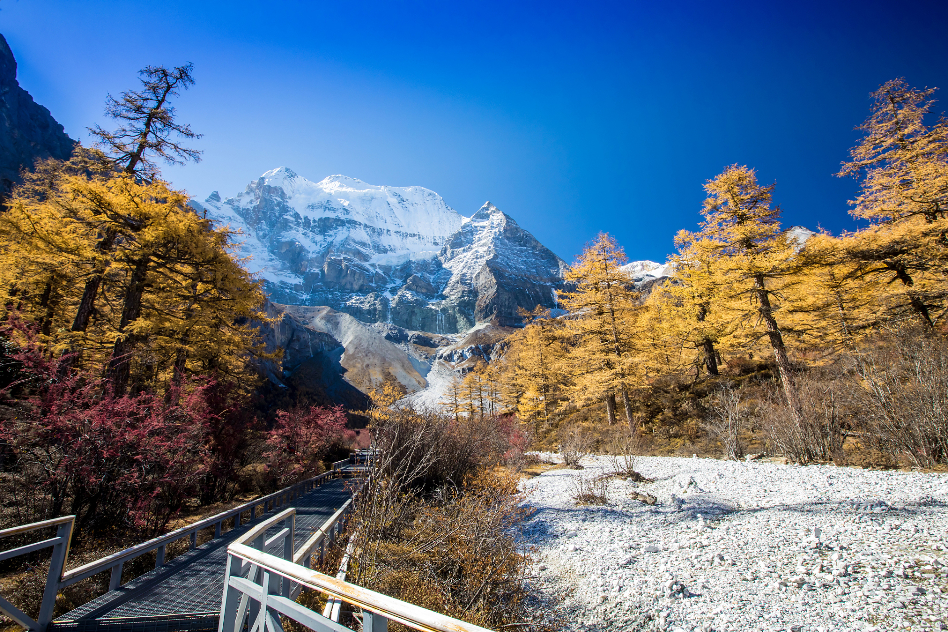 "好玩的坝子",米亚罗红叶景区位于四川省阿坝藏族羌族自治州理县境内