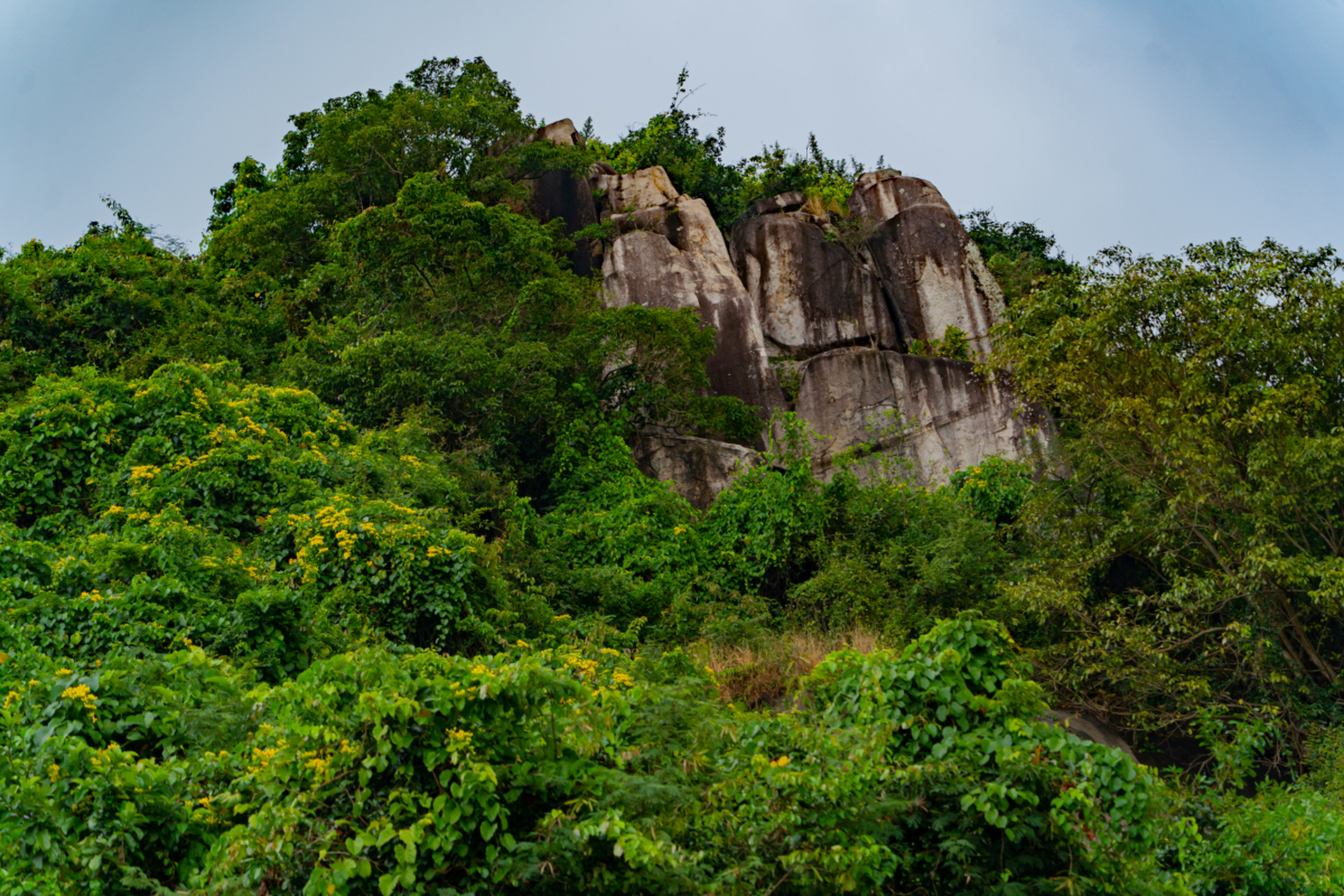 罗浮山,粤中的仙山 罗浮山,位于广东省惠州市,是一座集自然风光与人文