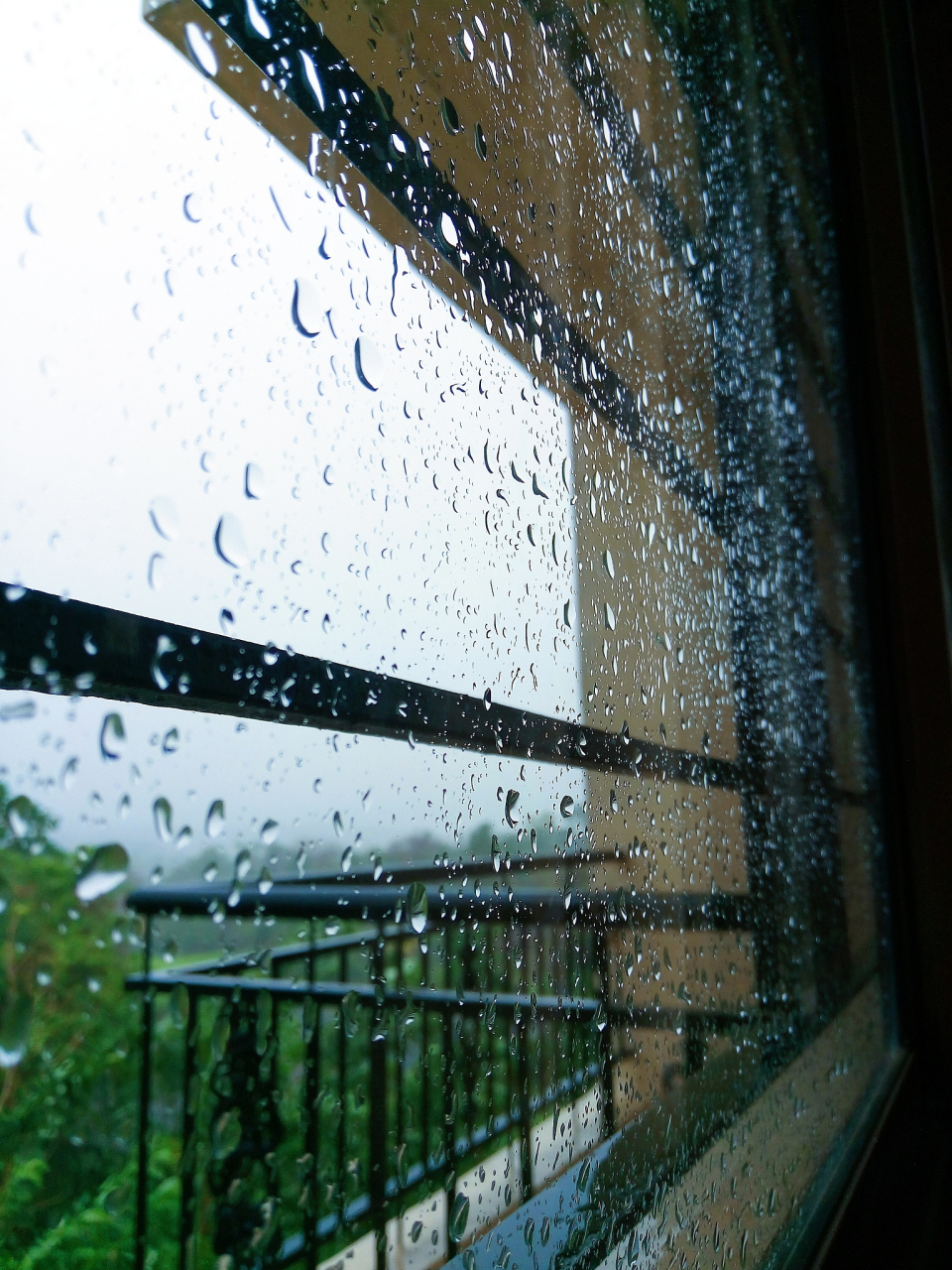 窗外一片细雨朦胧的景色.