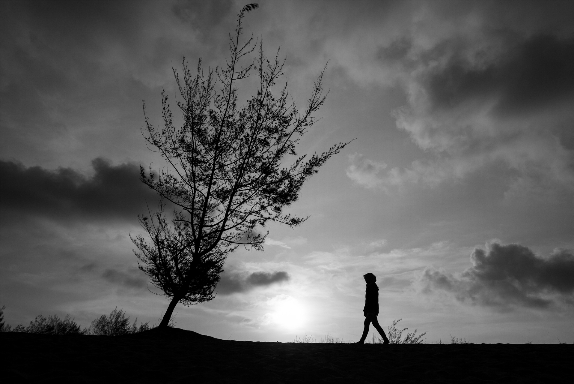 一个人孤独终老是什么样的感觉#  认知层次高的人,往往拥有更为深刻