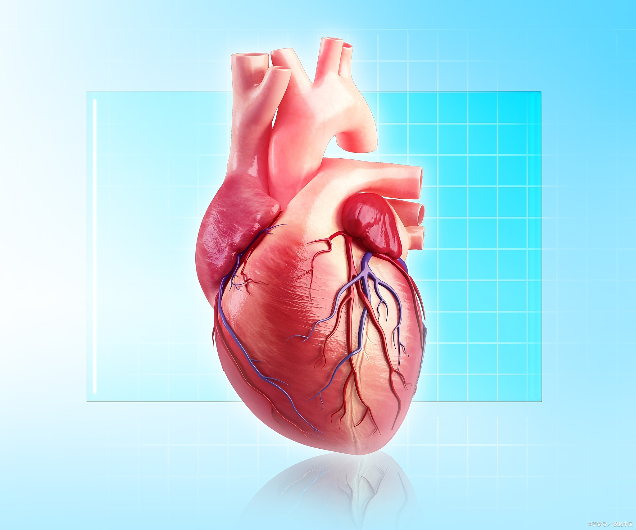 房早与房室早搏