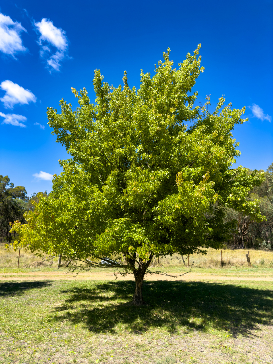 活着,总是要经历磨难的