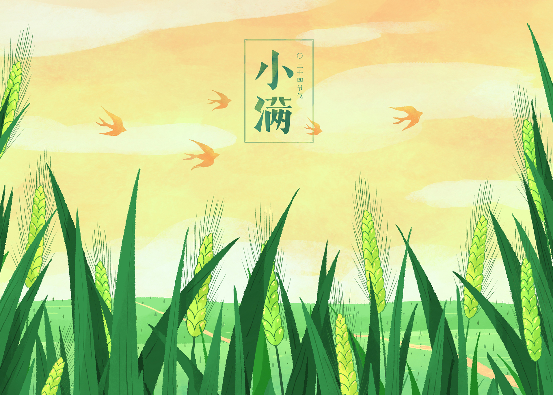 二十四节气# #二十四节气小满#  小满的意思是"谷子饱满