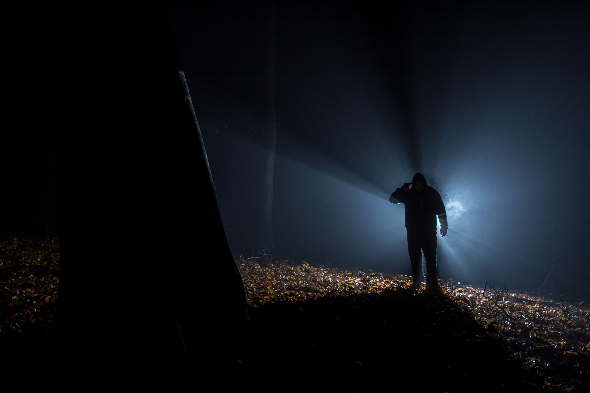 当我们在黑暗中摸索前行时,那把我们绊倒的物体同时也把我们支撑.
