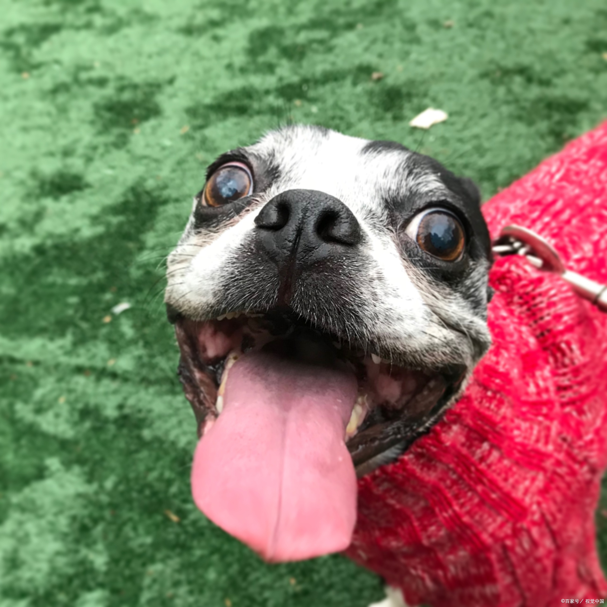 上个月公司招了个02年让我带,让她去接客户,好家