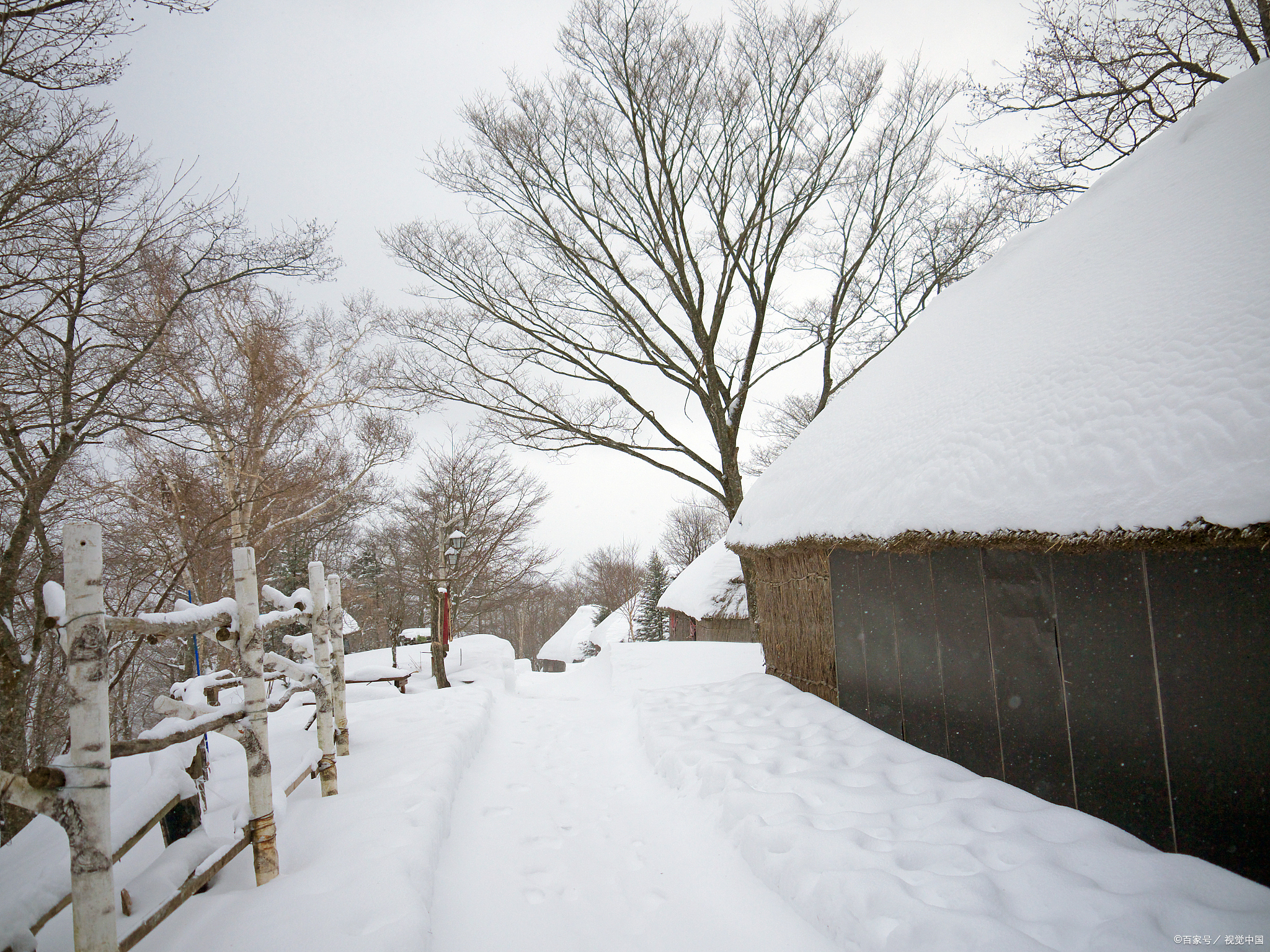 雪后初晴,太阳斜斜地照在雪地上,那种柔和的光线是最适合拍照的