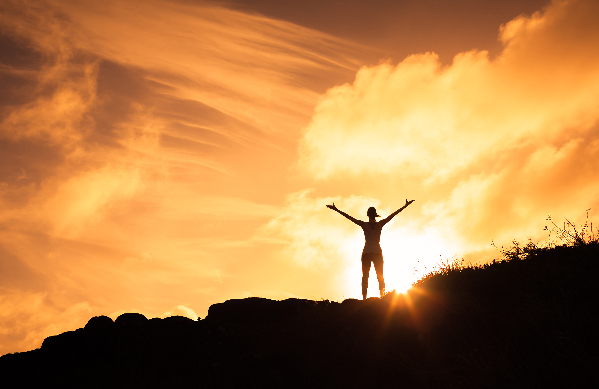 生活重压似狼虎,唯有勤勉可破晓.好吃懒做非良道,时光荏苒梦易消