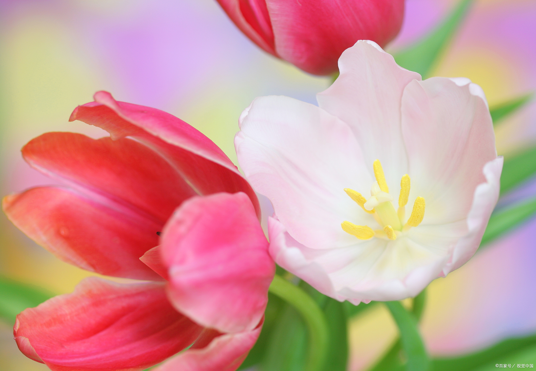 [围观]心灵之光:超越名利,逆境成长,把握机遇,守真