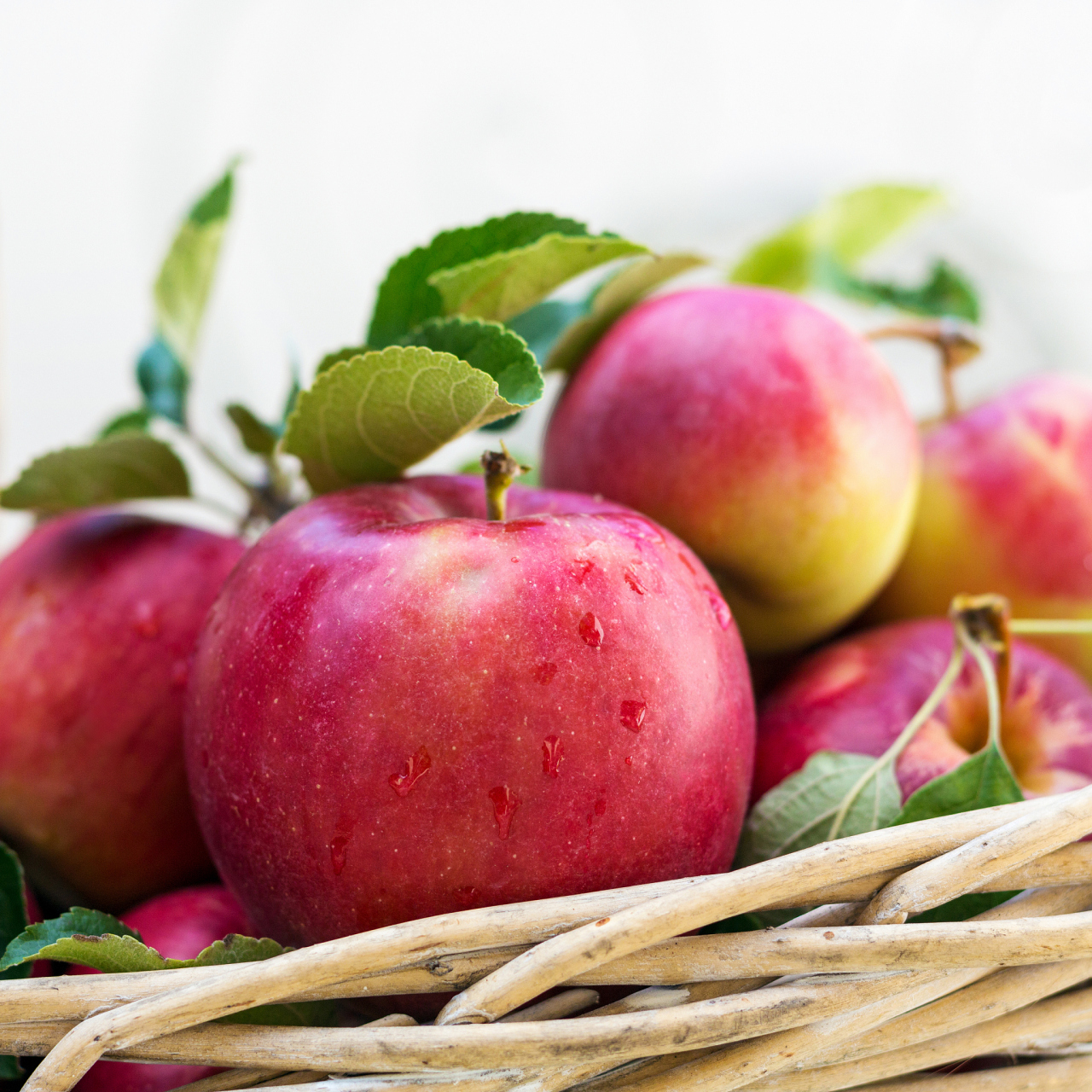 红富士苹果原产于日本,中国,日本,韩国和美国等地都有大量栽培,在中国