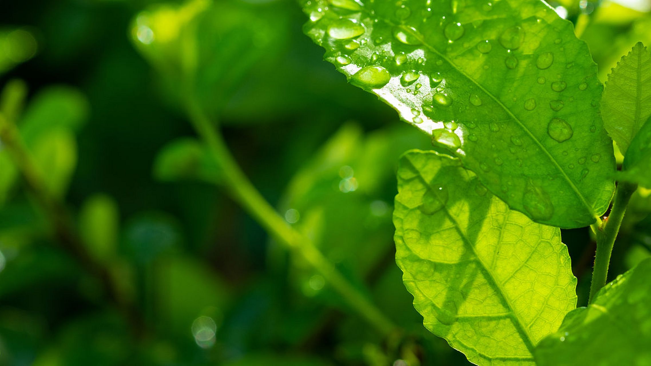 同时,调整屏幕亮度和对比度,保持适当阅读距离,避免过于接近屏幕.