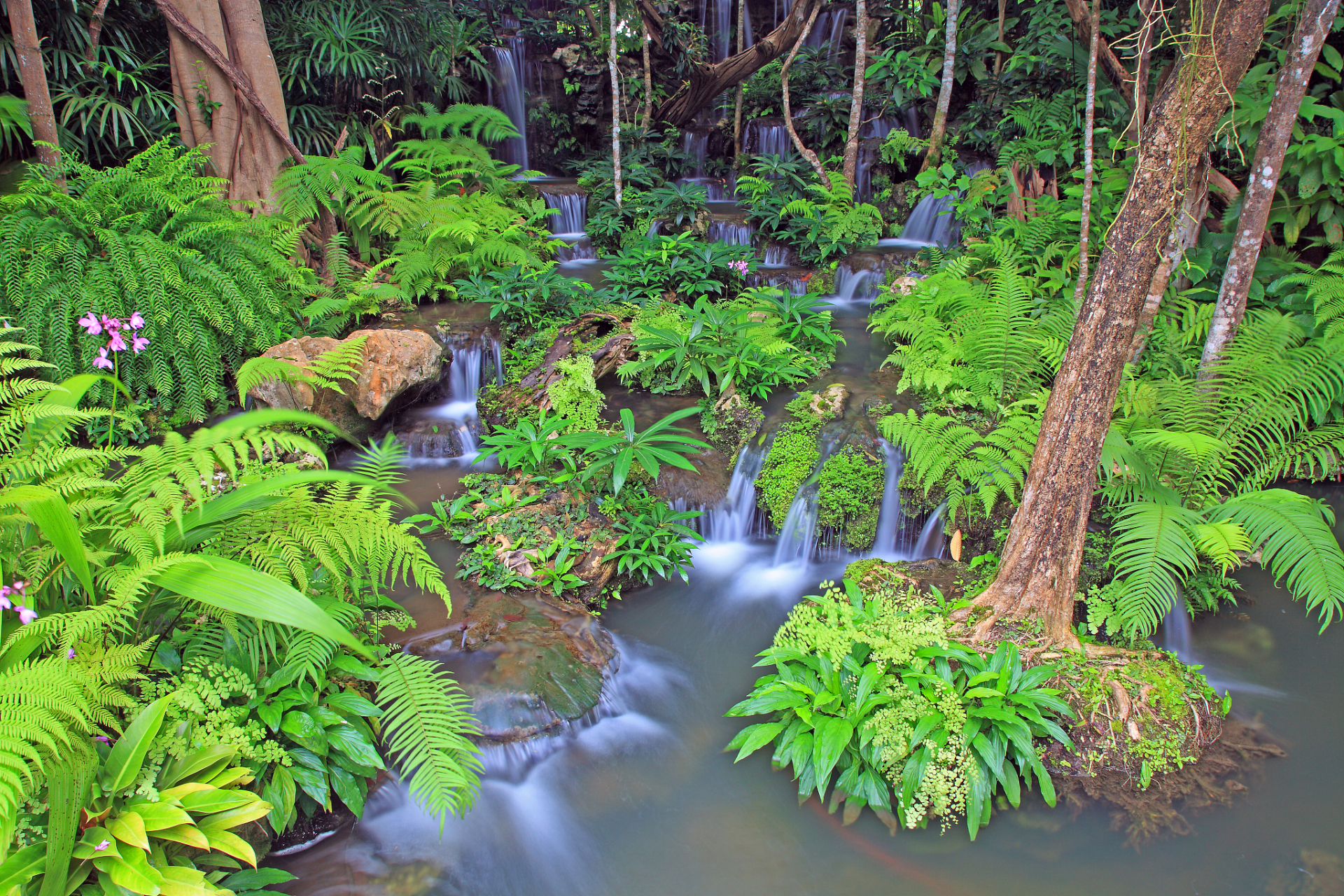 冬季出游旅行攻略之三:热带雨林之旅:巴西亚马逊雨林  对于想要远离