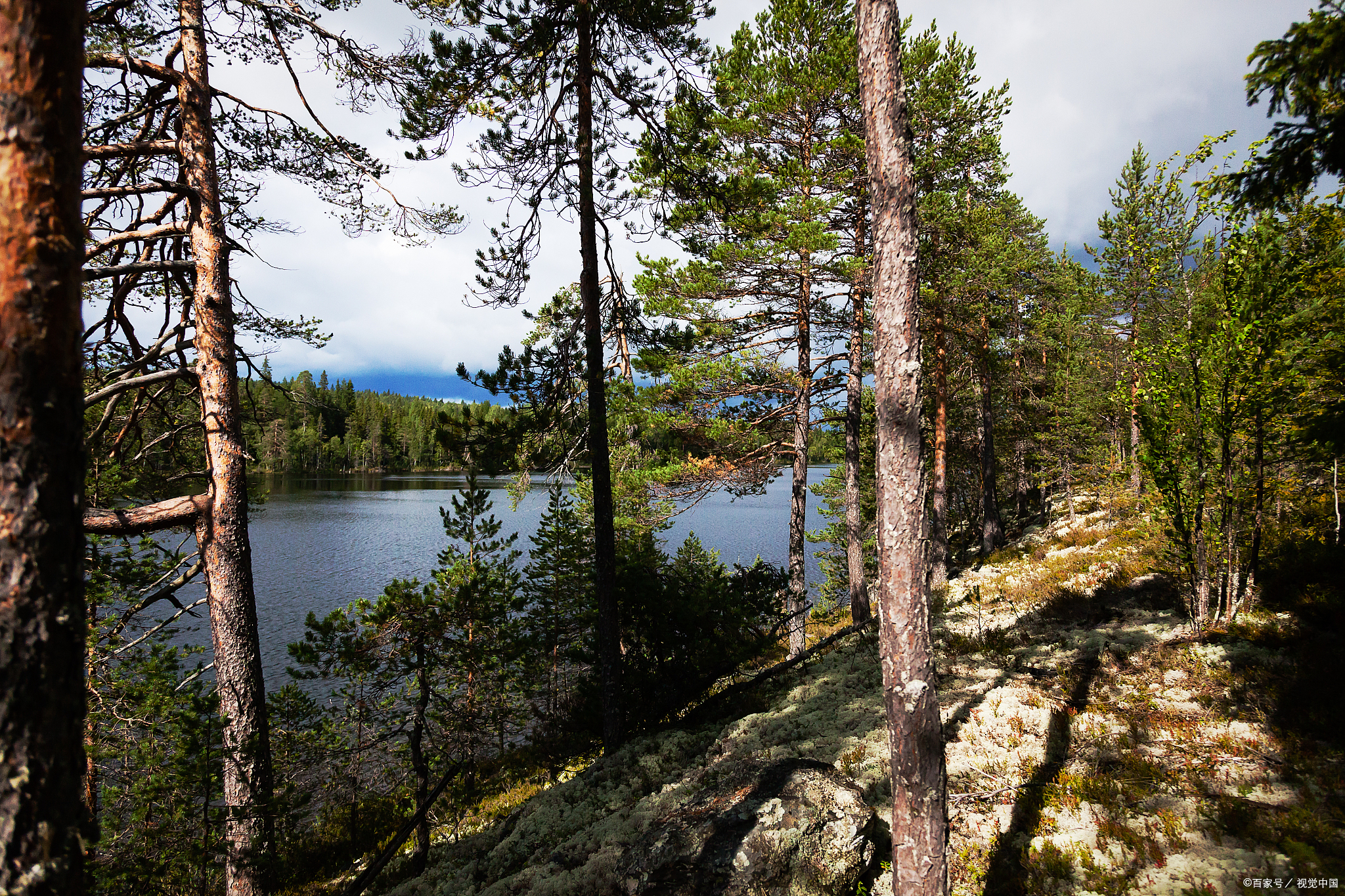 小兴安岭旅游攻略自由行: 小兴安岭位于黑龙江省伊春市,伊春有"林都"