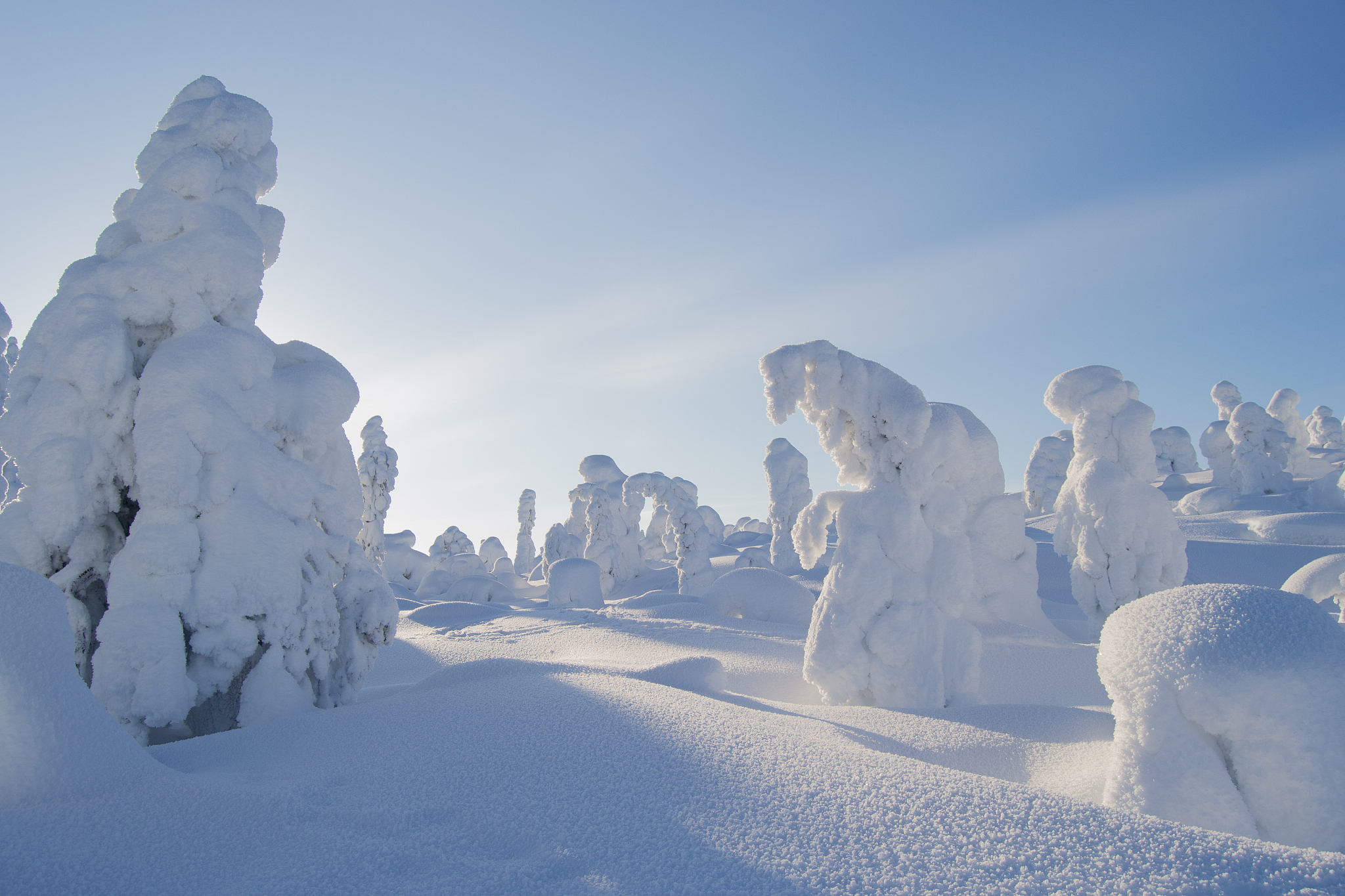 随着寒冷空气席卷俄罗斯,政府已经做好应对这种极寒天气的准备了吗?