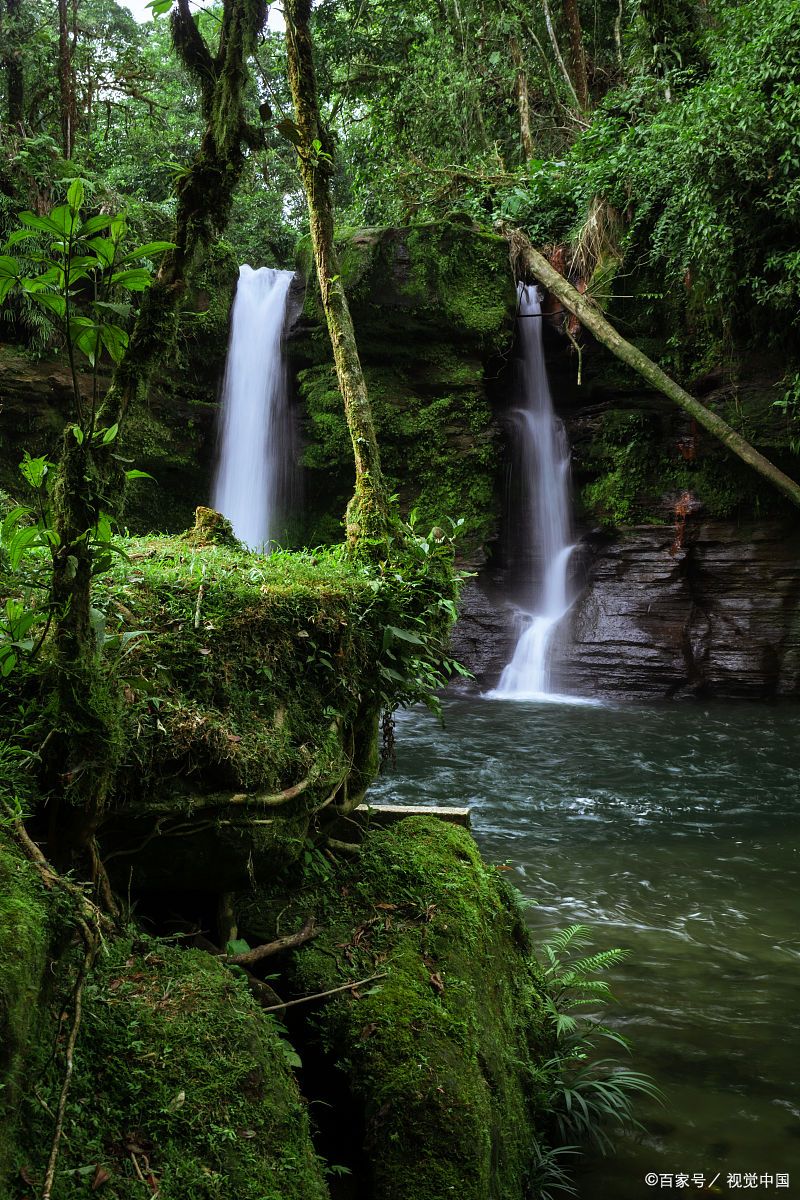 成都崇州鸡冠山的森林,原始森林瀑布溪流,天然氧吧!